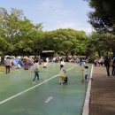 제주13月 이미지