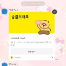 세시의철사씨 | 얼레벌레 내 인생