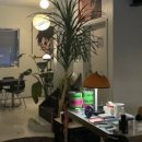 루츠 레코드 바(Roots Record Bar) 이미지