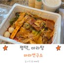 마라연구소 | 평택 마라탕 추천 마라연구소 포장 후기