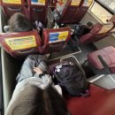 미화스테이 이미지