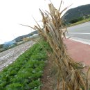 고속화학 이미지