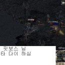 핏보스