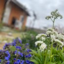 홍예민박 이미지