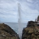 가마못공원 | 스리랑카 7일차(얄라사파리, 웰리가마)