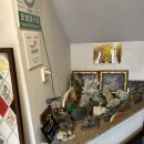 쭈나라꾸미 | 쭈꾸미 포장 맛집 추천! 쭈나라꾸미 경산점 솔직후기