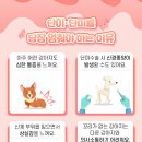 고려동물병원 이미지