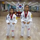 용인대 현대 태권도 이미지