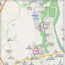 원도안로-5 뉴스1