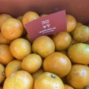 까미농장 이미지