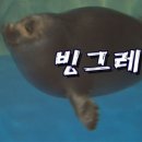 바이칼스타