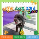 (주)스타몽 이미지