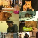 한가족농장 이미지