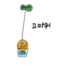 카페코지밀