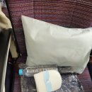 대한서비스 | 암스테르담 대한항공 이코노미 비행시간, 가격, 서비스, 시설, 기내식 후기