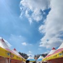 이천 백사산수유꽃축제 나들이 다녀왔어요~!