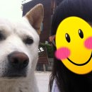 썬베네스트 이미지
