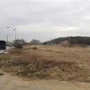 양노다 Daum카페