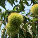 위천초등학교 이미지