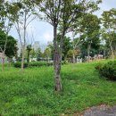 제주사랑공인중개사사무소 이미지