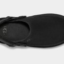 골든스타 이미지