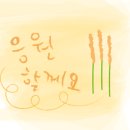 마르멜로 이미지