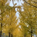 쌍이리귀바위 이미지