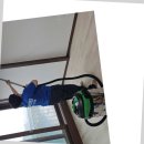 평화정비 이미지