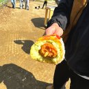 물안개피는 강가펜션 | 양평 두물머리 강아지랑 가볼만한 산책 코스 추천