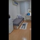 코쿤하우스 이미지