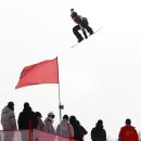 PARROT KOREA 이미지