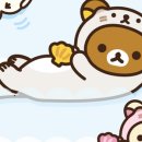 [테마후기] 로랑님 🦦수달 해달 리락쿠마.˚𖦹𓇼₊˚ 여름 돌고래 카톡테마