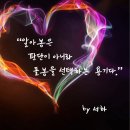 251213. 묵상글 ( 성녀 루치아 동정 순교자 기념일. - 나의 예언자를 알아보는 믿음의 눈, 눈은 몸의 등불입니다 . 등 ) 이미지