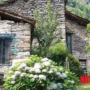 알프스마을 이미지