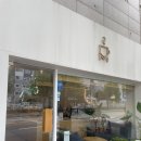 멜티브라운 이미지