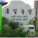 흥일농장 이미지