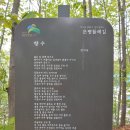 제주도야지 이미지