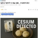 일본산 ‘밤만주’서 세슘 검출…수입절차 중단 이미지
