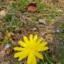 추월농장2 이미지