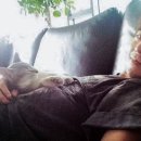 조은느낌 이미지