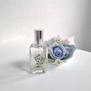 여름을 담은 프라이빗 니치향수 | 여자 니치향수 추천 제이앤랩 금목서향 여자 명품향수 후기