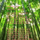 죽청2리마을회관 이미지