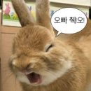덕클 이미지