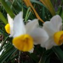 땅끝기와집 이미지