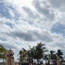 지바 | [칸쿤 신혼여행] 하얏트 지바 칸쿤 후기 - 2탄(레스토랑 추천, 팜투어 예약)