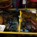 대하회가든 이미지