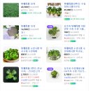 제육대가(장한평점) | 지독한 감기로 염라대왕과 하이파이브하고 온 후기.. 라기엔 너무 잘 먹어버리기 😿