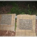 진우농장 이미지