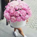 비온후풍경 이미지