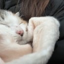 사계절크리닝 이미지